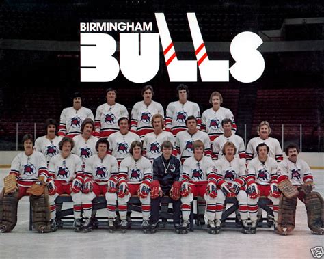 Birmingham bulls hockey - Never miss out on Bulls related news again! Stay up-to-date with official team news, unique opportunities to win autographed prizes, exclusive offers from the Birmingham Bulls year-round and so much more!